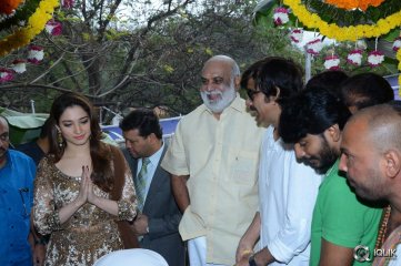 Bengal Tiger Movie Opening